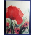 Poppy Painting on Canvas, 19.5 x 27.5 in.